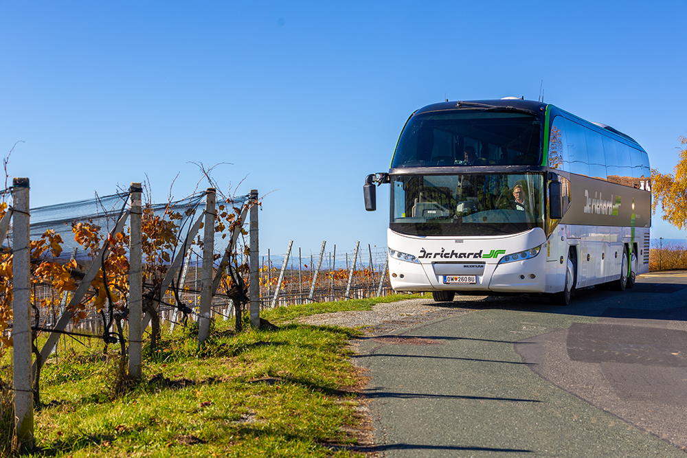 2 Dr. Richard Burgenland c Dr. Richard Martin Pfeiffer 9 komprimiert und bearbeitet 1