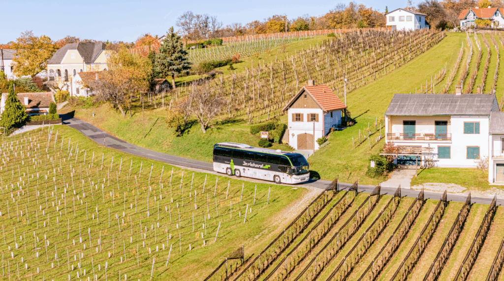 Dr. Richard Burgenland 8 Design ohne Titel 1 1