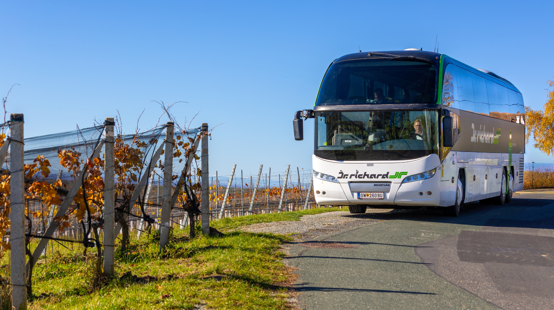 Design ohne Titel 2 1