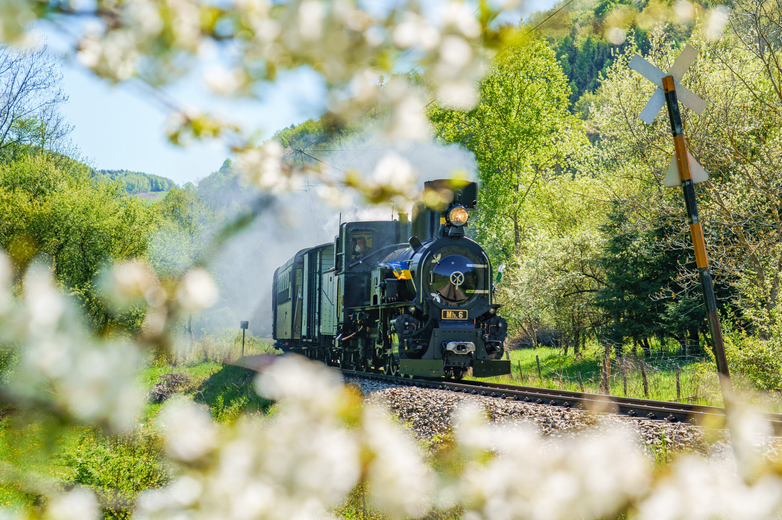 Niederöstereich 9 2024 Dampf cBollwein 8 scaled